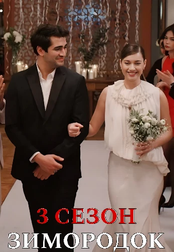 Зимородок 3 сезон 1-100, 101 серия турецкий сериал на русском языке все серии смотреть онлайн